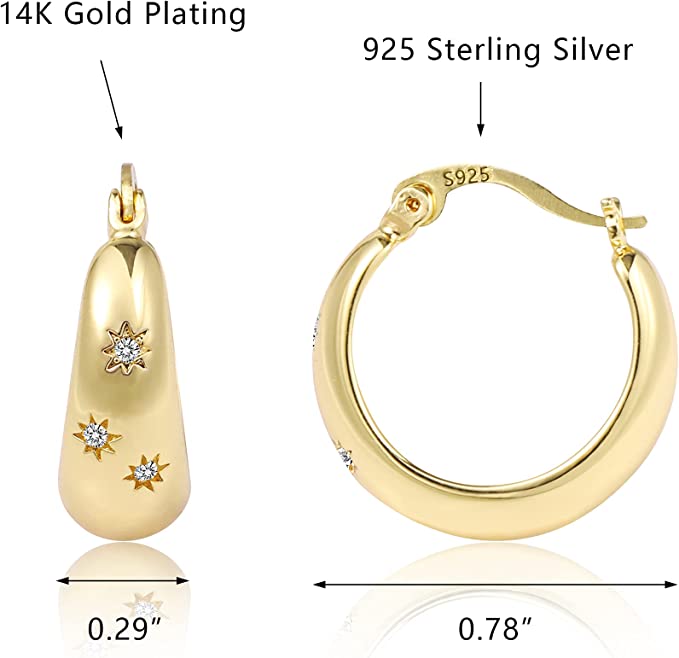 14K Gold CZ Paved Earring