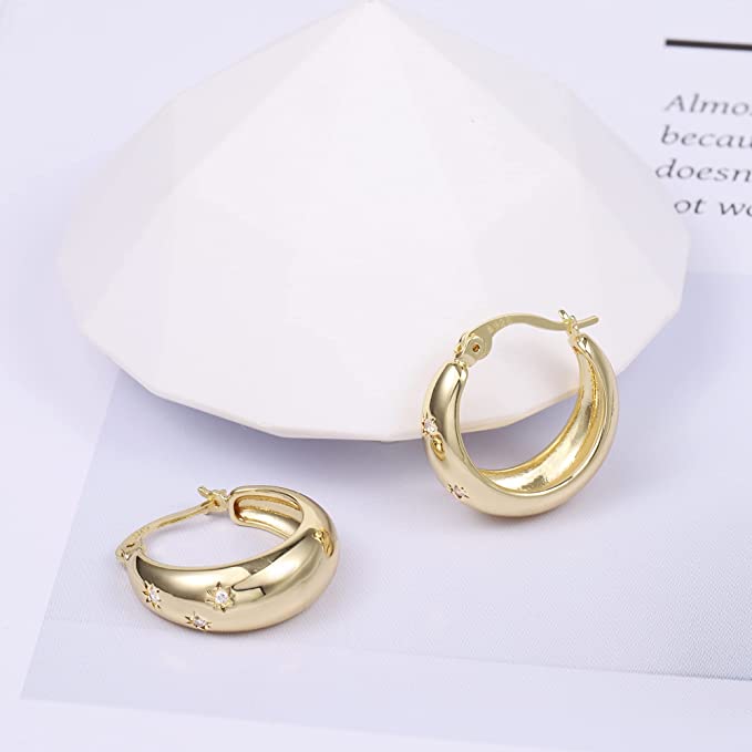 14K Gold CZ Paved Earring