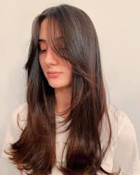 Long Straight Brown Highlight Wig with Bangs