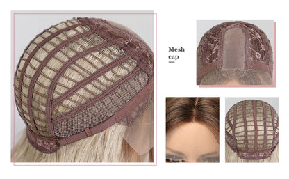 Ombre Ash Blonde Middle Part Lace Wig