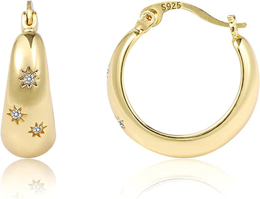 14K Gold CZ Paved Earring