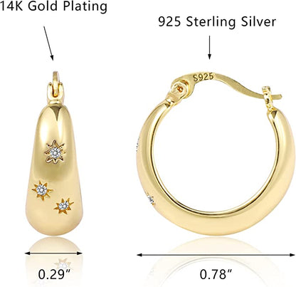 14K Gold CZ Paved Earring