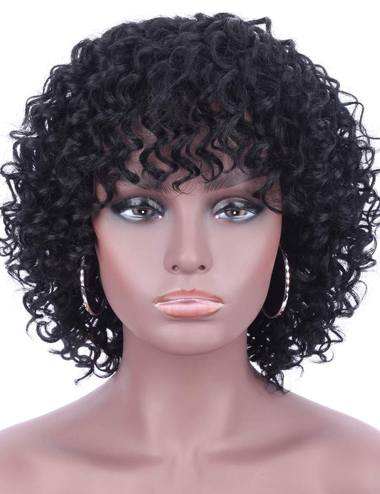 Jet Black Kinky Human Hair Wig