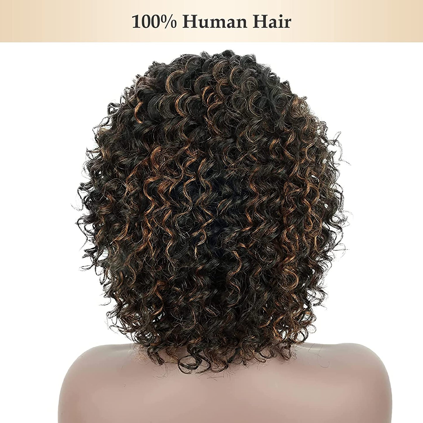Black Brown Highlights Human Hair Wig