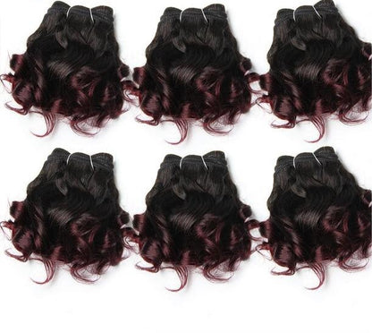 Curly Brazilian Hair Weave Human Hair Bundles